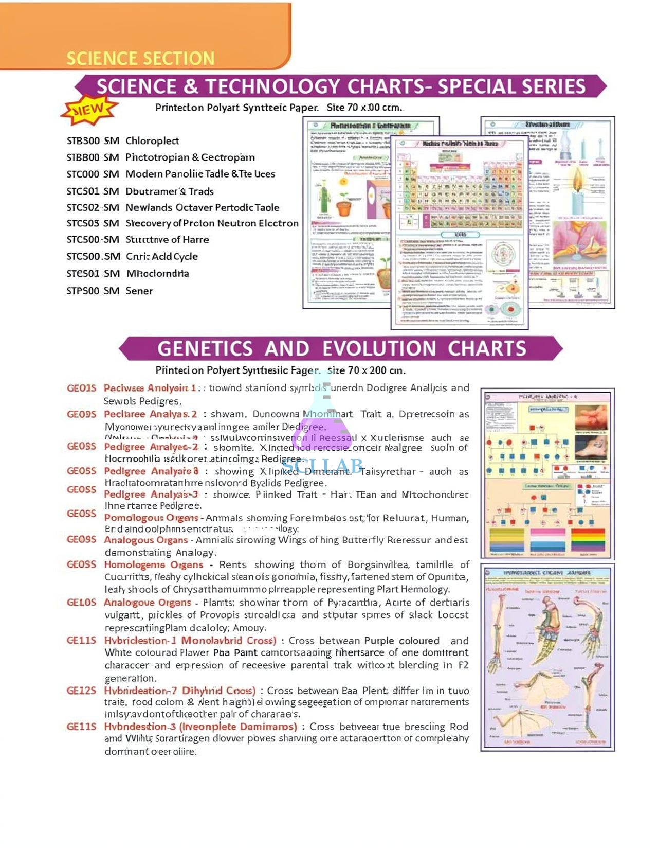 Biology Genetics & Evolution Wall Charts